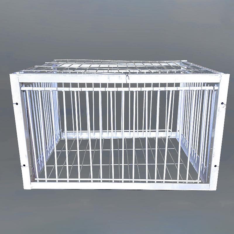 1PC Iron Trap Racing Birds Pigeon Jumping Cage Deodorant Cage Door Bailing Wire Birdcage Entrance House Bird