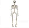 Halloween Haunted House Decoration: 40cm Articulated Skeleton Prop