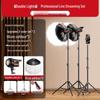 LED Beauty Sphere Fill Light for Streamers and Photographers