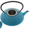 Cast Iron Kettle 1.25 L Infuser Strainer For Tea And Herbs
