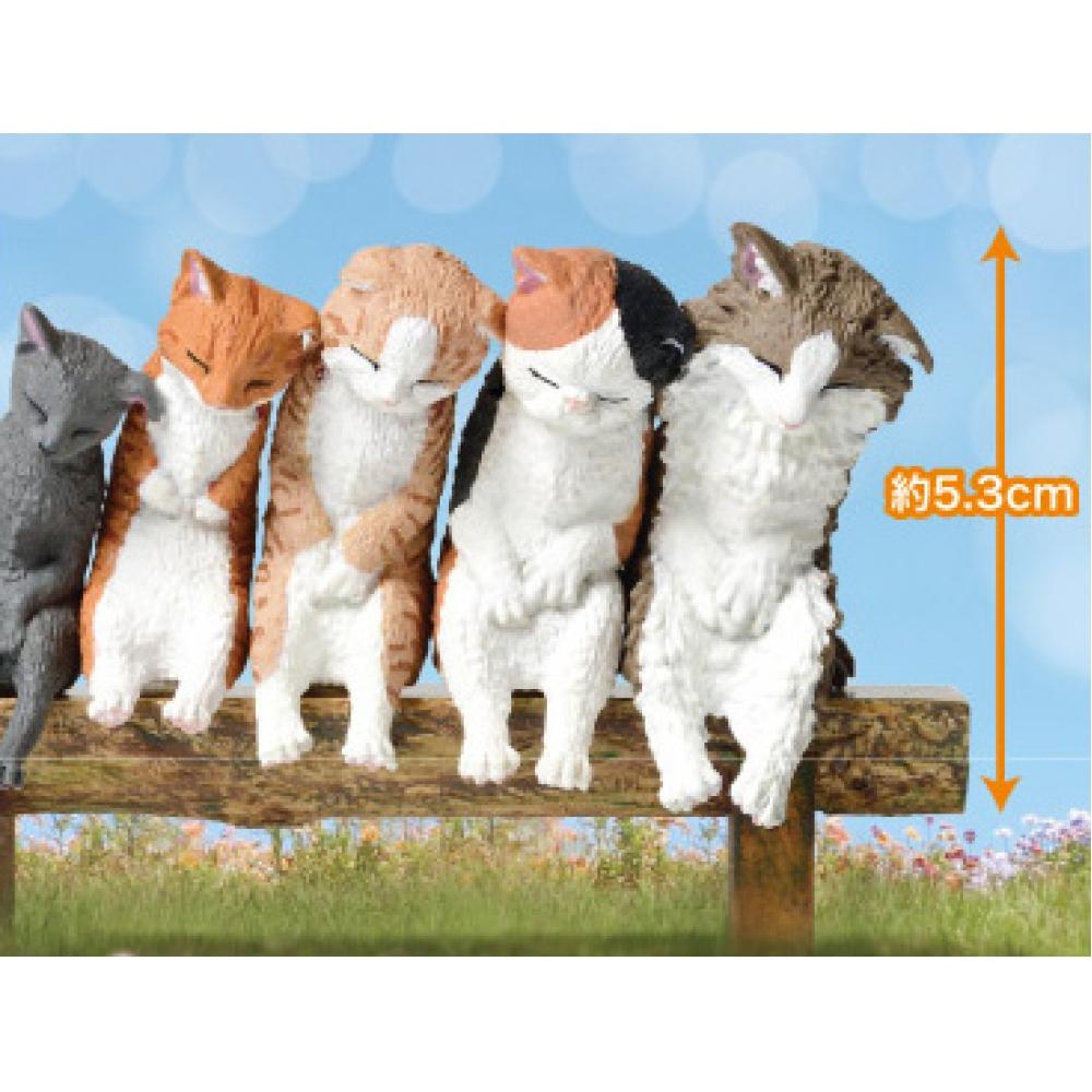 Null Sleep Together Cat 1box 10pcs