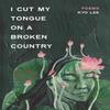 I Cut My Tongue On a Broken Country by Kyo Lee Paperback Book 9781551529776