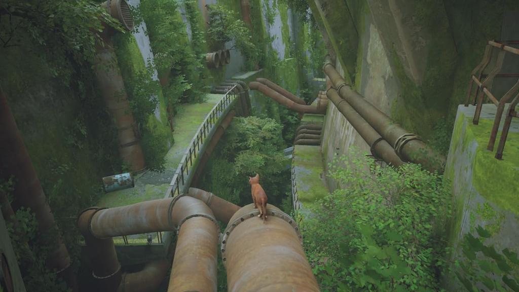 Stray North Switch (Imported version America) –