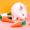 Rabbit Chew Toy Natural Grass Carrot Toy for Rabbits GuineaPigs 5Pcs