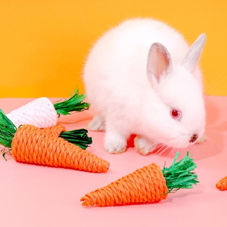 Rabbit Chew Toy Natural Grass Carrot Toy for Rabbits GuineaPigs 5Pcs