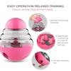 Brain Game Dog Interactive Treat Food Maze Feeder Treat Dispenser Cat Slow Feeder Toys Fun Challenges Puzzle