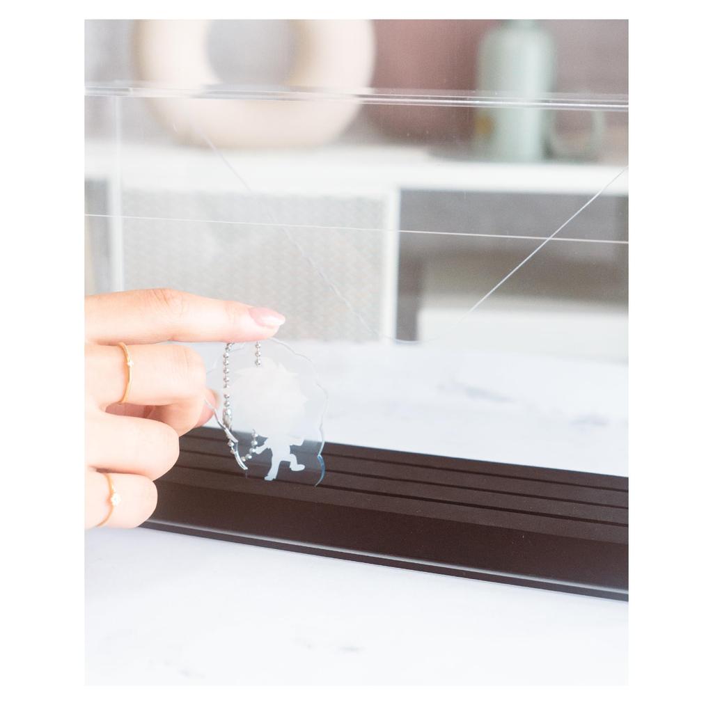 Nakabayashi Acrylic Stand Case, Fits 12cm Tall, Clear, CCA-101CR