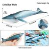 Marine Life Cognitive Toy Set: Sperm Whale, Shark, Bowhead Whale, Blue Whale