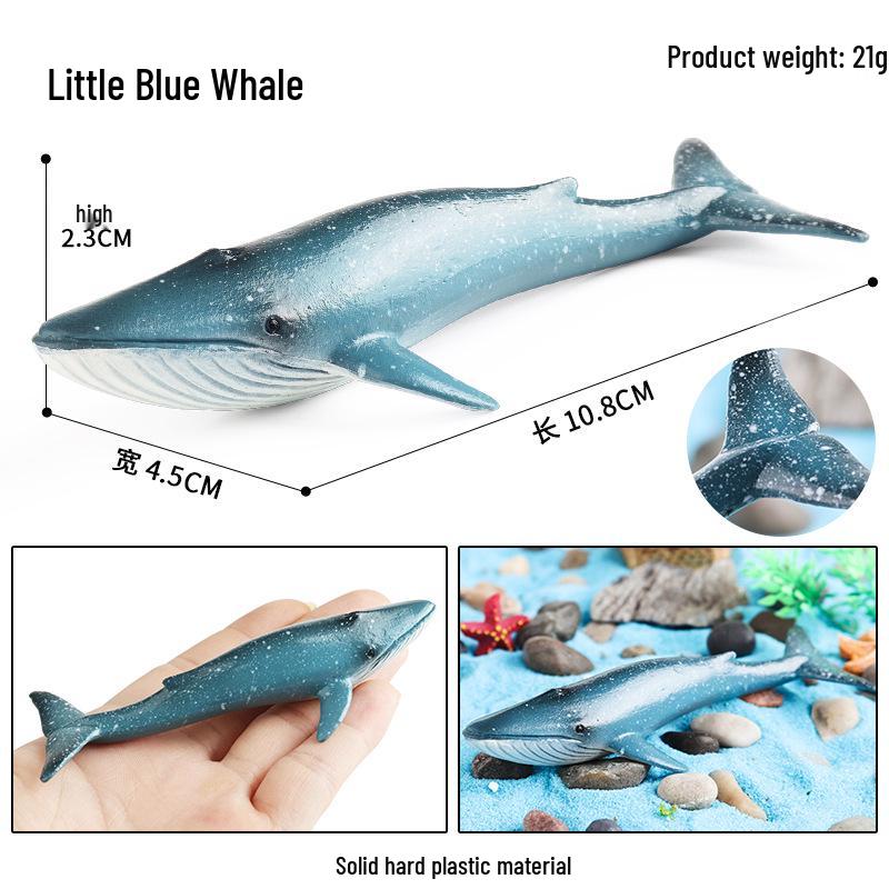Marine Life Cognitive Toy Set: Sperm Whale, Shark, Bowhead Whale, Blue Whale