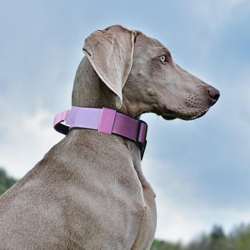 Heavy Duty Dog Collar Medium To Large Breeds Anti-Pull Tactical Nylon With Adjustable Buckle Multiple Colors Sizes