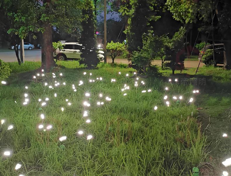Firefly Solar Garden Lights: Waterproof Outdoor Villa and Lawn Decor