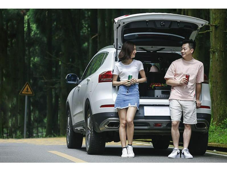 Zhihang Dual-Use Car & Home Refrigerator-Freezer, 12V for Cars, 24V for Trucks