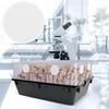 Monotub Adhesive Filter Disks Mushroom Growing Filter Pad Replacements Filtration Sticker Replacement Cultivation Supplies For