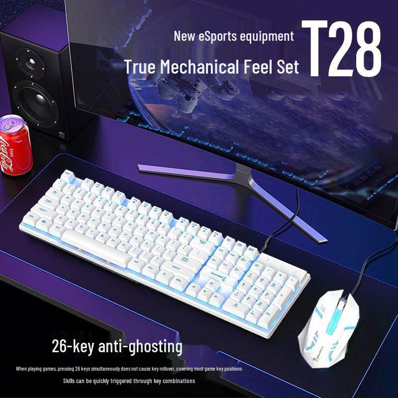Luminous Wired Keyboard & Mouse Set with Floating Keycaps - USB, Mechanical Feel for Gaming Desktops & Laptops