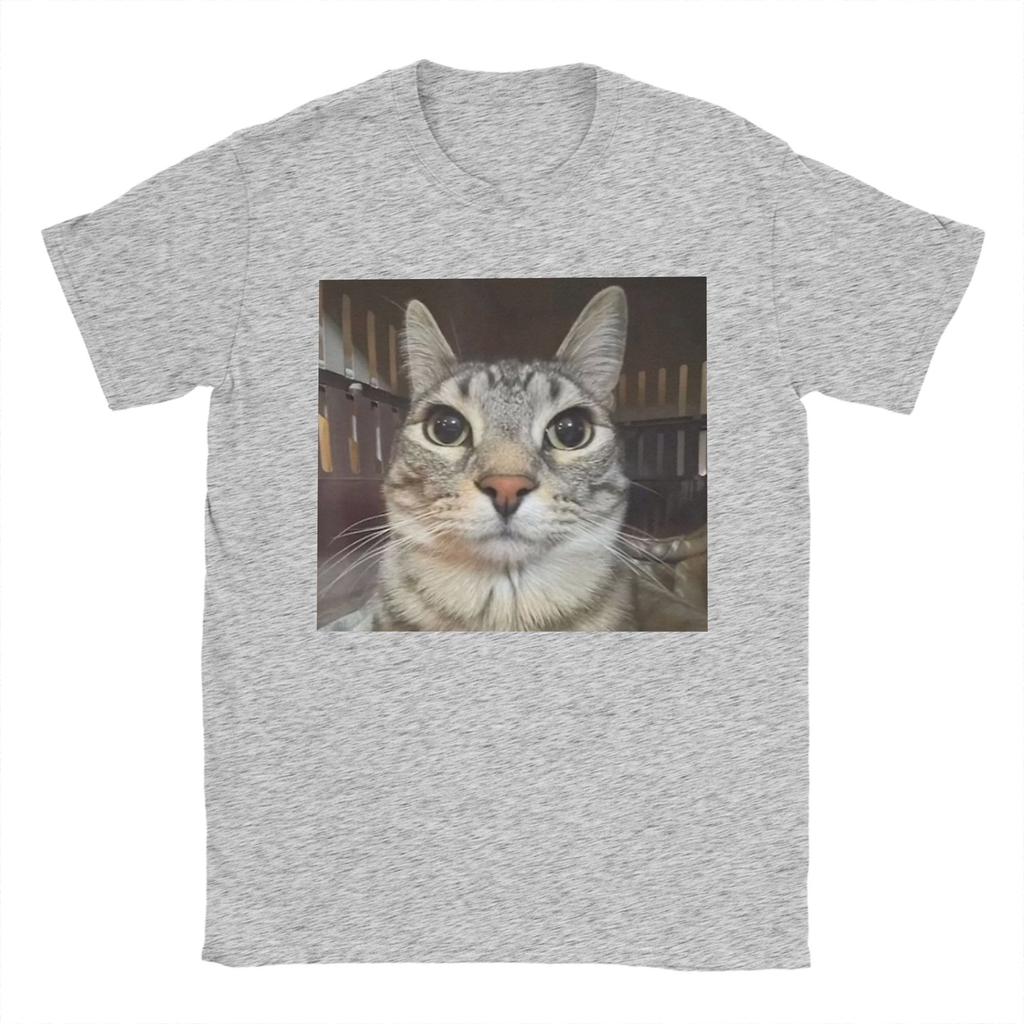 Silly Staring Cat Meme Mens T Shirts Vintage Tees Short Sleeve Round Collar TShirts Pure Cotton Party Clothes