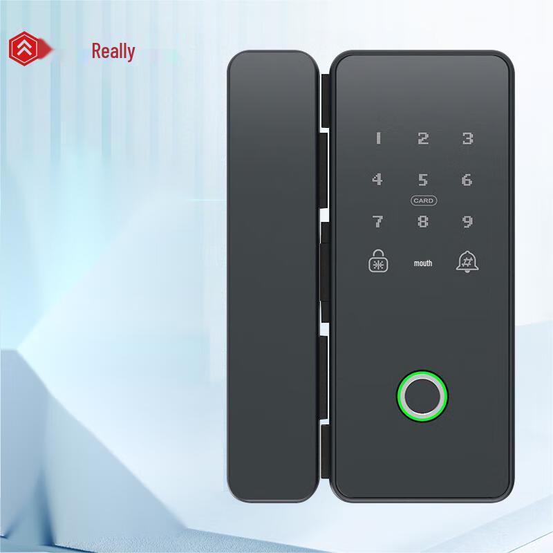 Умный замок Realand ZD808D по отпечатку пальца