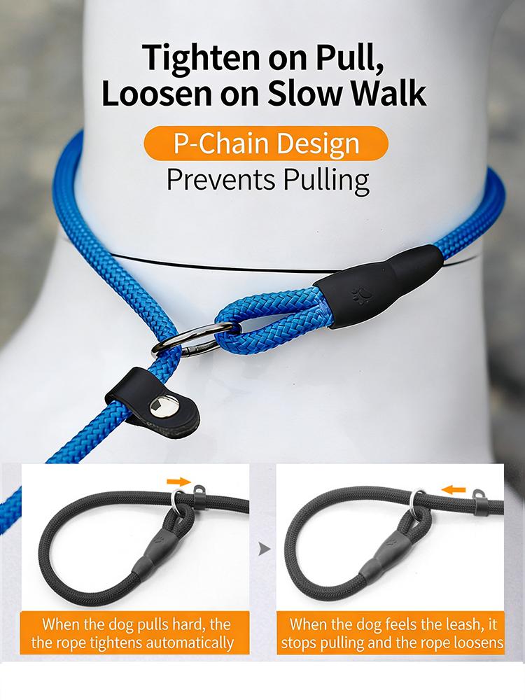 All In One Nylon P Chain Dog Training Collar Leash No Pull Anti Shock Quick Release Buckle Explosion Proof Walking Lead For Small Medium Large Pet
