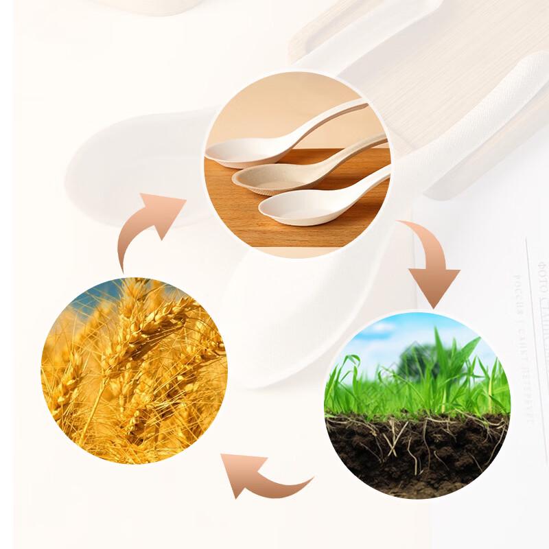 Jinyuan Disposable Wheat Straw Spoons