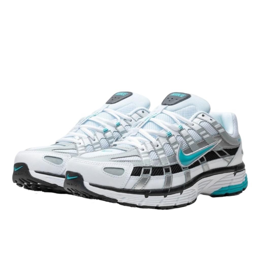 Nike P-6000 Dusty Cactus