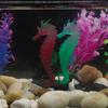 Produits d'animaux de compagnie simulés Maison Hippocampe Silicone Aquarium Décoration Ornements
