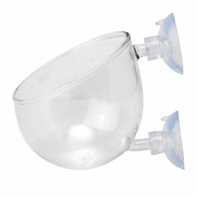 Clear Glass Plant Cups with Suction Cups Aquariums Landscaping