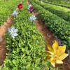 10 Pack Sparkly Bird Repellent Rotating Windmill with Stakes Extra Sparkly Pinwheel Bird Repellent Devices for Garden Yard Decor