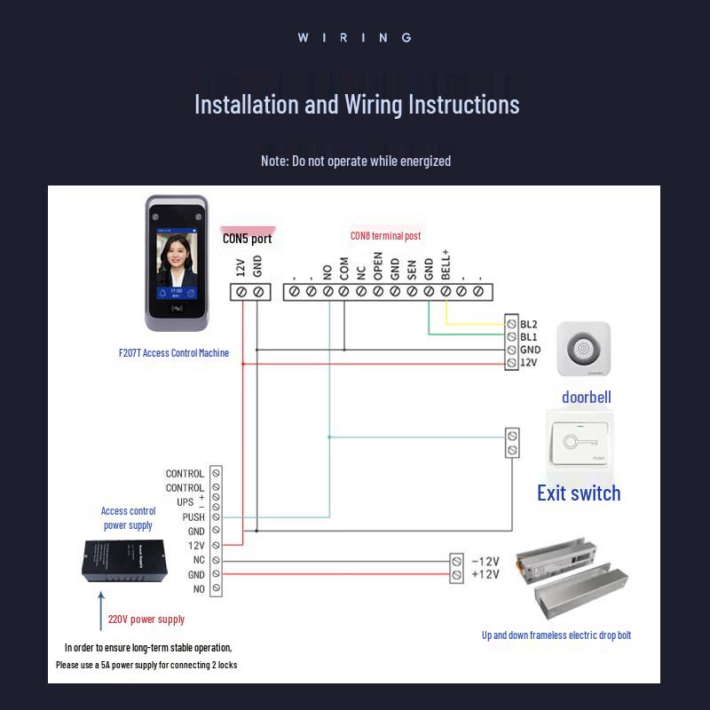 Realand F207T12 Face Recognition Access Control Kit for Double Frameless Glass Doors CN plug (adapter included)