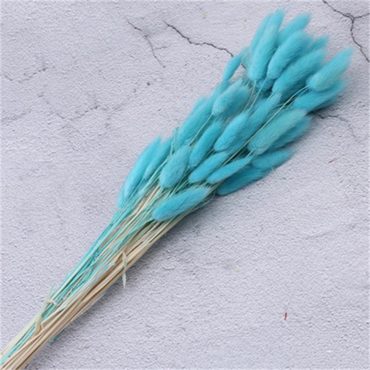 60pcs Natural Dried Lagurus Ovatus Foxtail Bouquet for Decoration