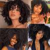 MISS WIG African Descent Lady Short Curly Hair Wig with Bangs African Synthetic High Temperature Fiber Wig Black Cosplay Party Daily Wig