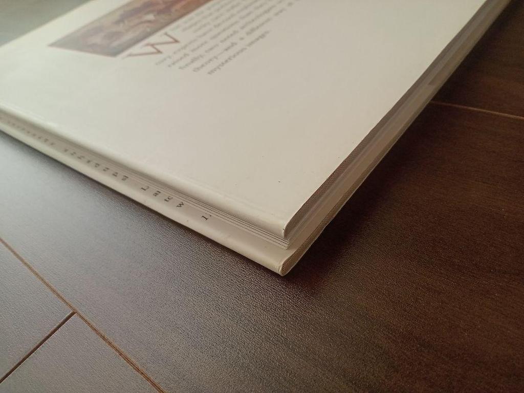 [USED] Shamans The Shamans of Prehistory English Book