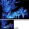 Kenko PRO1D R-Twinkle Star 6X (W) Cross Filter, 6-strand, 6-cross effect, for nightscapes, illuminations, and light effects. (826225)