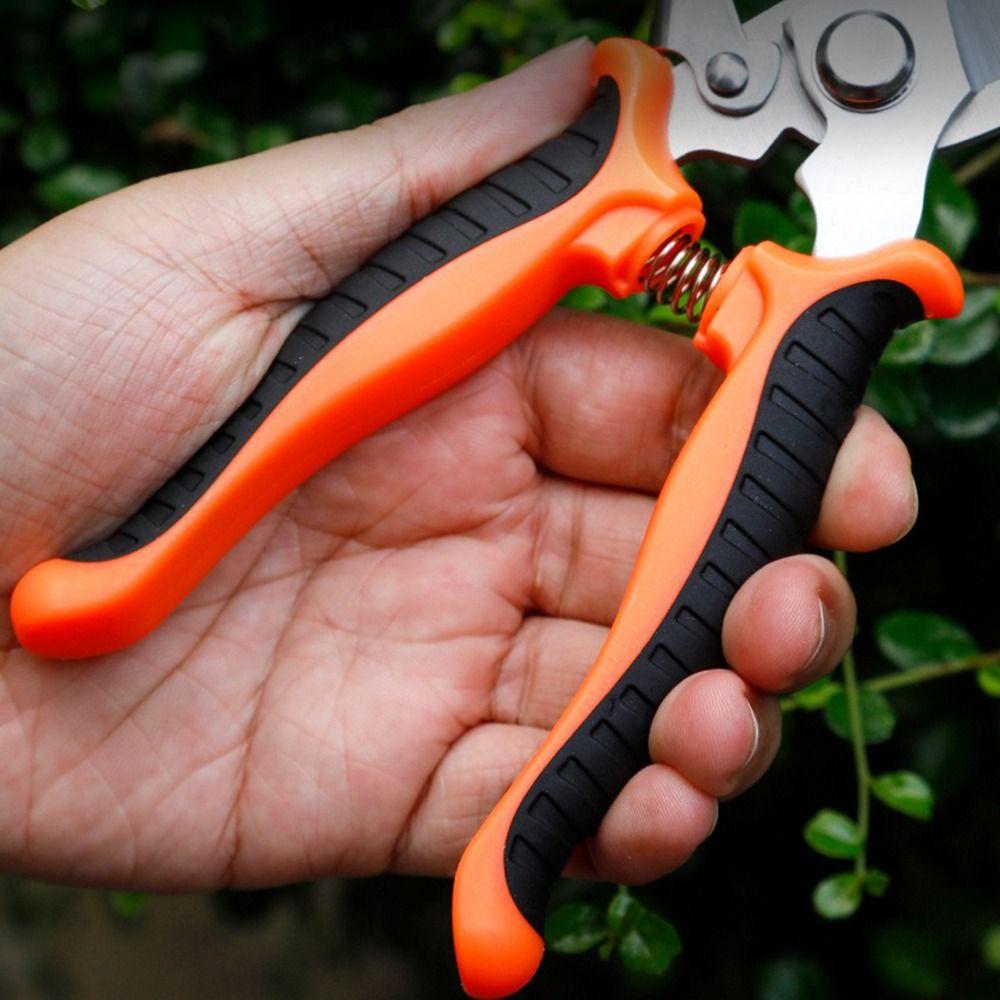 Garden Tool Branch Pruning Scissors Stainless Steel Fruit Picking Scissors Horticultural Scissors