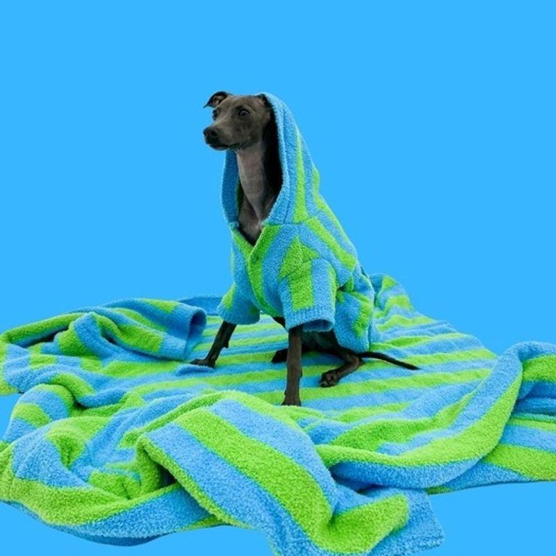 TOOF LOLLIPOP PUPPY ROBE - GRN/BLU