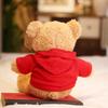 Graduation Bear Sweater Teddy Bear Doll Plush Toy Valentine's Day Birthday Gift Annual Meeting Classmate Gift