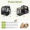 Foldable Small Dog Charter Carrying Cat Out Bag Portable Cat Bag Breathable Car Bag For Dogs Large-Capacity Pet Bag