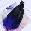 50pcs/pack Black Rooster Feathers Dyed Colorful Natural Pheasant Plumes 15-20cm/6-8 inch Costume Party Decor feathers for Craft