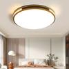 2025 Modern Minimalist LED Ceiling Light for Bedroom, Living Room, and Hall