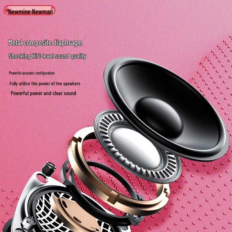 Newmine BT31 Portable Bluetooth Speaker