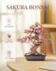 Robotime Rolife 3D Wooden Sakura Bonsai Puzzle Easy Assembly Evergreen Pine Bonsai Kit Christmas Gift For Family Home Decoration