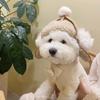 Warm Cat Flying Hat Lamb Fur Windproof Dog Cap Fashion Fluffy Dog Hat  Outdoor Activities