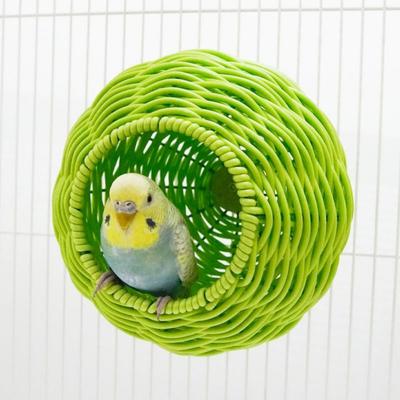 Oiseaux – Cages et accessoires
