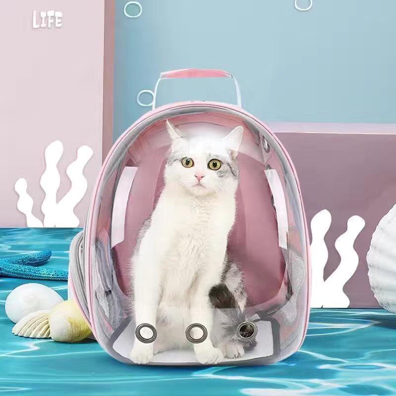 2025 Space Capsule Transparent Cat Backpack - Breathable, Double Shoulder, Portable Pet Carrier for Kittens