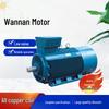 Anhui Wannan YLV Series Copper Coil Low Voltage High-Power Three-Phase Asynchronous Motor