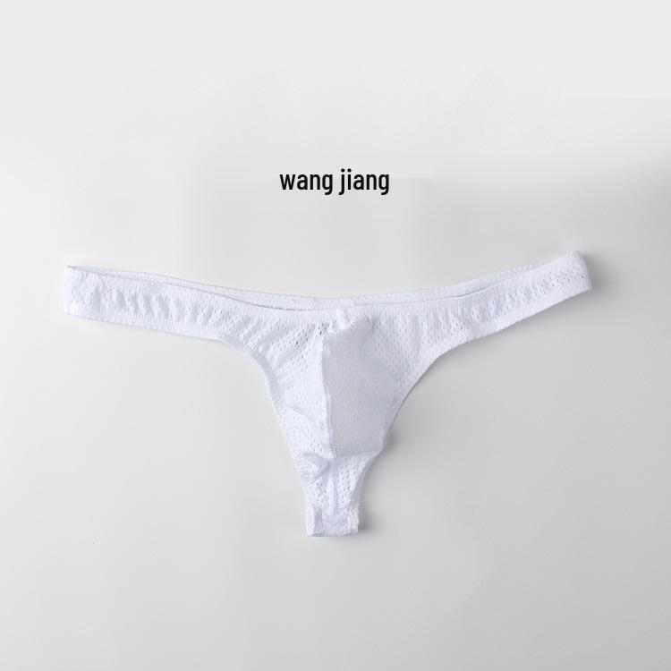 Men's Sexy Low-Rise Nylon Ice Silk Mesh Thong T-Back Underwear