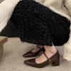 High-Heeled Mary Jane Shoes Pointed-Toed Shallow Mouth Spring Thick Heel French With Skirt Temperament Single Shoes Women'S Shoes