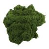 Decorative Moss DIY Landscaping Reliable Choice Rich Vibrant Tones Versatile Decor Faux Moss For Indoor Planters