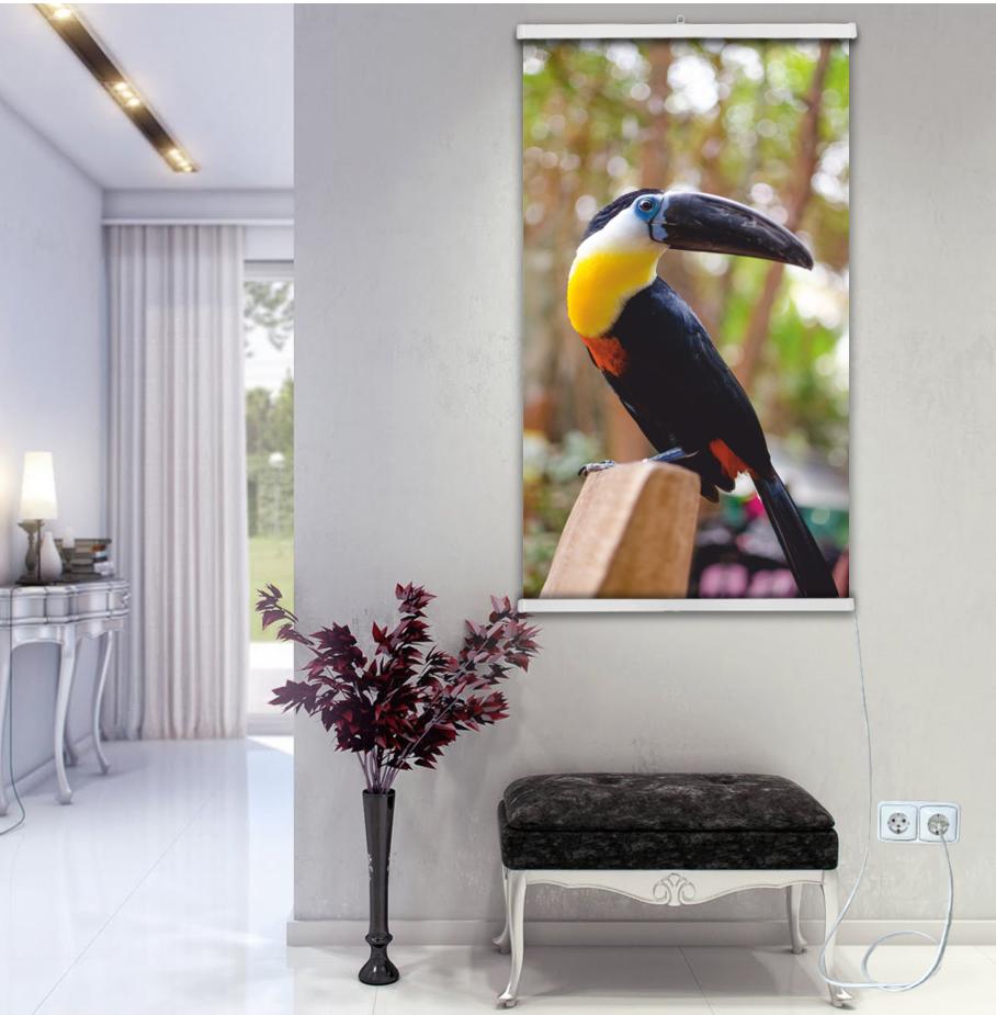 Picture-heater "Toucan" On Film Monocrystal 105x60 Cm 300 W