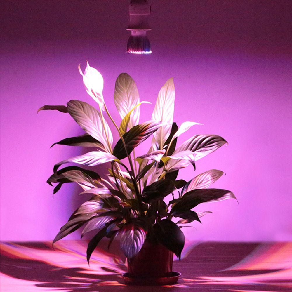 E27 AC85-265V Grow Lamp Indoor Full Spectrum LED Greenhouse Bulb Grow Light Plant Lamp Phyto Lamp
