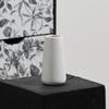 Nordic White Minimalist Ceramic Vase for Dried Flowers - Modern Hydroponic Decoration for Living Room or Dining Table.