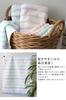 Imabari Towel Certified Bath Towel Hiorie (Hiorie) Border Jacquard Lyric 2-Piece Set Assorted 2 Colors 01 Made In Japan Imabari Brand Quick-Drying